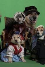 Watch Heidi 4 Paws M4ufree