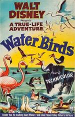 Watch Water Birds (Short 1952) M4ufree
