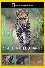 Watch National Geographic: Stalking Leopards M4ufree