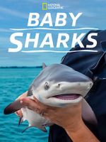 Watch Baby Sharks M4ufree