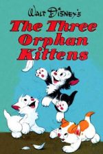 Watch Three Orphan Kittens M4ufree