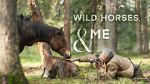 Watch Wild Horses, the Rockies and Me (TV Special 2025) M4ufree