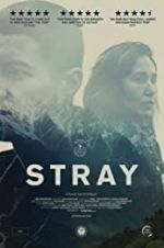 Watch Stray M4ufree