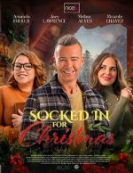 Watch The Great Christmas Snow-In M4ufree