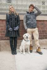 Watch Who Gets the Dog? M4ufree