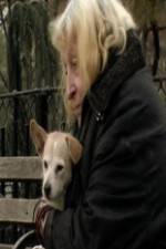 Watch Water in the Boat M4ufree