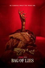 Watch Bag of Lies M4ufree