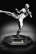 Watch World MMA Awards 2010 M4ufree