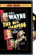 Watch The Big Stampede M4ufree