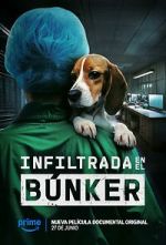 Watch Infiltrada en el bnker M4ufree