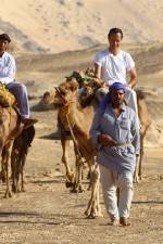 Watch Secrets Of The Arabian Nights M4ufree