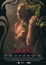 Watch Asche M4ufree