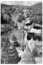 Watch Shelter M4ufree