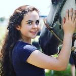 Watch Wildfire: The Legend of the Cherokee Ghost Horse M4ufree