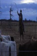 Watch Cowboy Christmas M4ufree