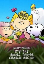 Watch Snoopy Presents: It's the Small Things, Charlie Brown (TV Special 2022) M4ufree
