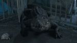 Watch Croc! M4ufree