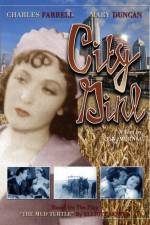Watch Die Frau aus Chicago M4ufree