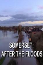 Watch Somerset: After the Floods M4ufree
