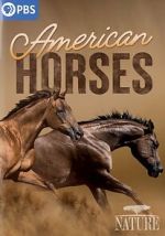 Watch American Horses M4ufree