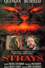 Watch Strays M4ufree