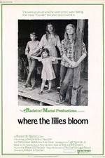 Watch Where the Lilies Bloom M4ufree