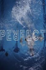 Watch Perfect M4ufree