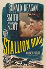 Watch Stallion Road M4ufree