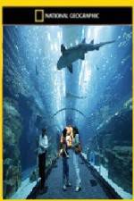 Watch National Geographic Megastructures Dubai Mega Mall M4ufree