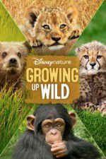 Watch Growing Up Wild M4ufree