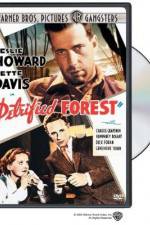 Watch The Petrified Forest M4ufree