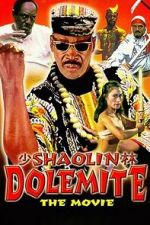 Watch Shaolin Dolemite M4ufree