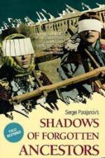 Watch Shadows of Forgotten Ancestors M4ufree