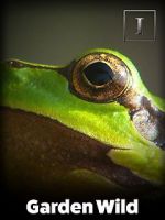 Watch Garden Wild! M4ufree