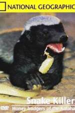 Watch National Geographic: Snake Killers Honey Badgers Of The Kalahari M4ufree