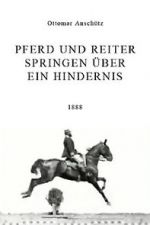 Watch Pferd und Reiter Springen ber ein Hindernis M4ufree