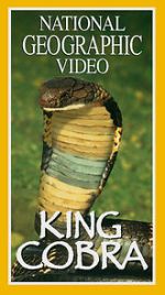 Watch King Cobra M4ufree