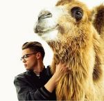 Watch Mikolas Josef: Lie to Me M4ufree