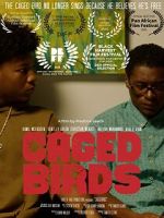 Watch Caged Birds M4ufree