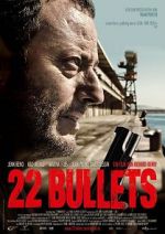 Watch 22 Bullets M4ufree