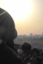 Watch Salmon M4ufree