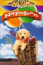 Watch Napoleon M4ufree