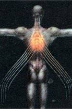 Watch Tool Salival M4ufree