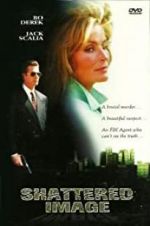 Watch Shattered Image M4ufree