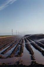 Watch El Valley Centro M4ufree