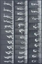 Watch Woman Throwing Baseball M4ufree