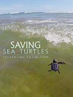Watch Saving Sea Turtles: Preventing Extinction M4ufree