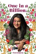Watch Zarna Garg: One in a Billion M4ufree