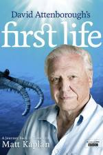 Watch First Life M4ufree