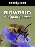 Watch Big World in a Small Garden (TV Short 2016) M4ufree